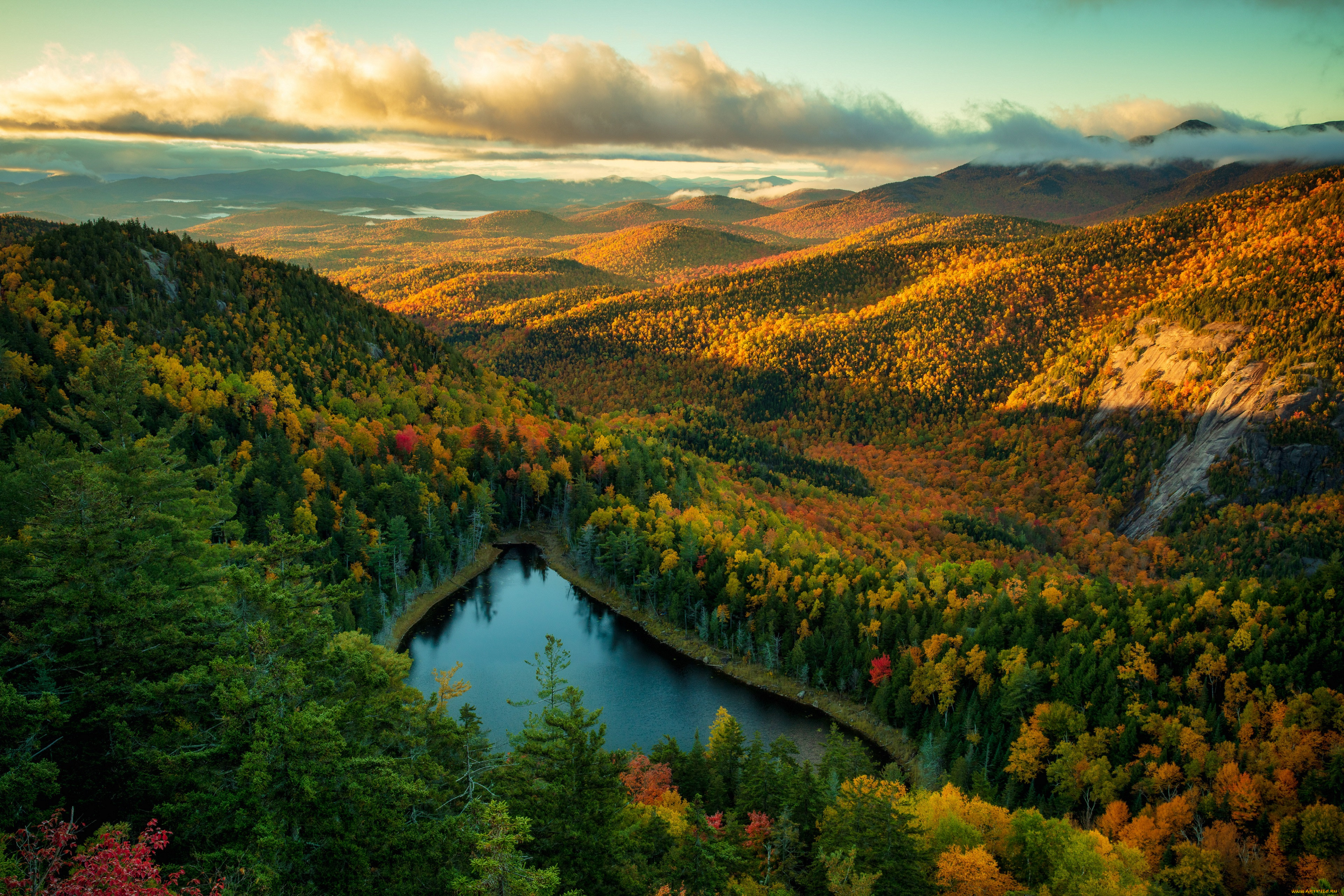 �������, ����, �����, ������